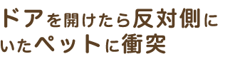 ドアを開けたら反対側にいたペットに衝突