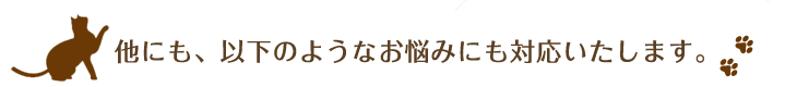 他にも、以下のようなお悩みにも対応いたします。